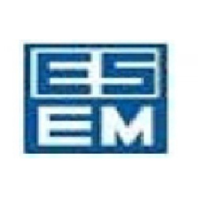 ESEM Elektrik